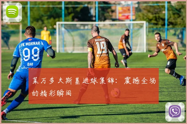莱万多夫斯基进球集锦：震撼全场的精彩瞬间