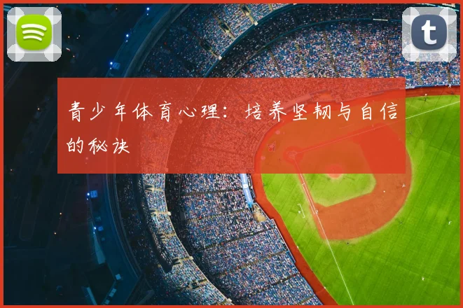 青少年体育心理：培养坚韧与自信的秘诀